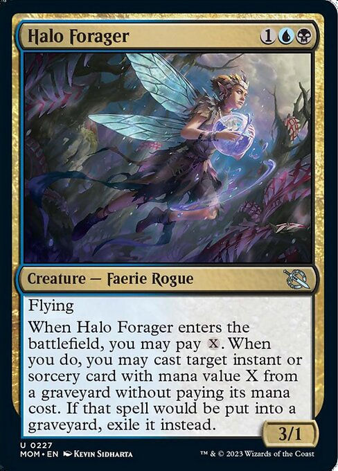Halo Forager (mom)