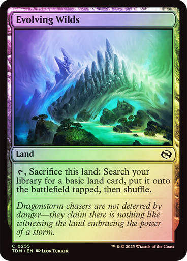 Evolving Wilds (TDM) (255) / Foil