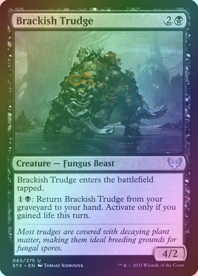 Brackish Trudge (STX) (65) / Foil