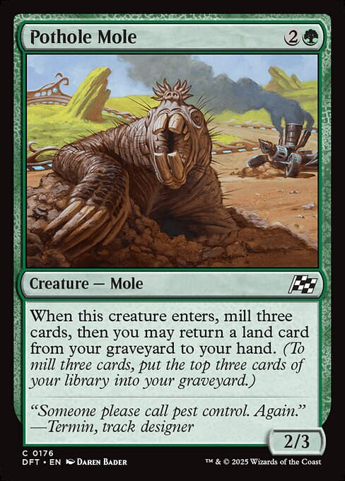 Pothole Mole (DFT) (176)