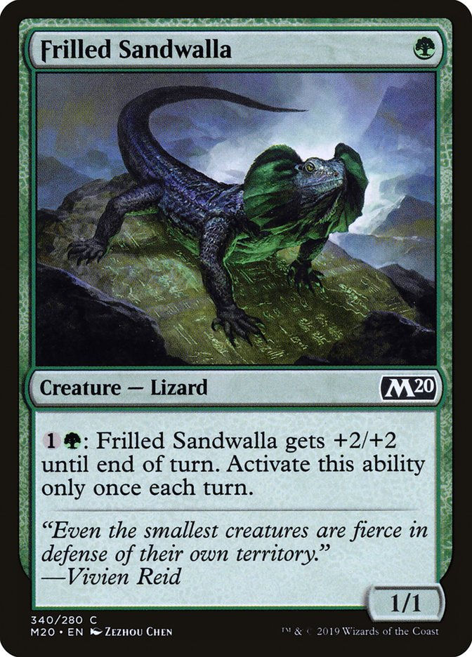 Frilled Sandwalla (M20) (340)