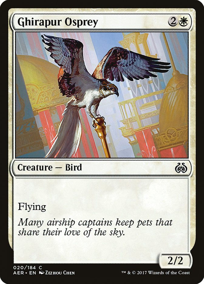 Ghirapur Osprey (AER) (20)
