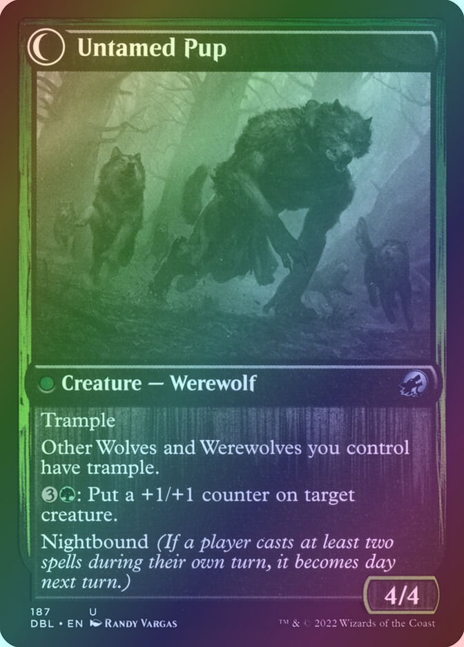 Hound Tamer // Untamed Pup (DBL) (187) / Foil — cara 2 de 2