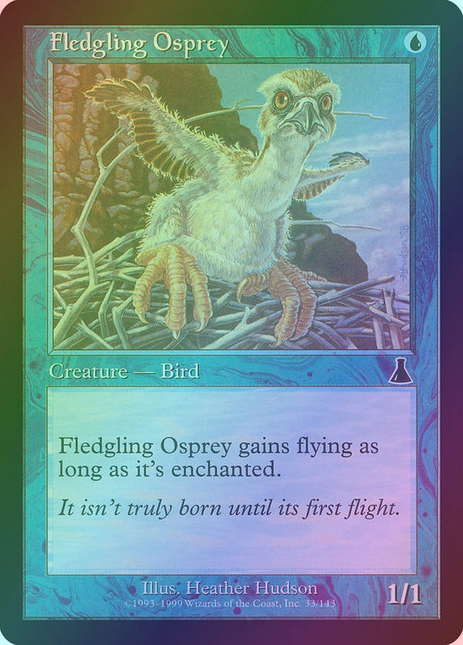 Fledgling Osprey (UDS) (33) / Foil