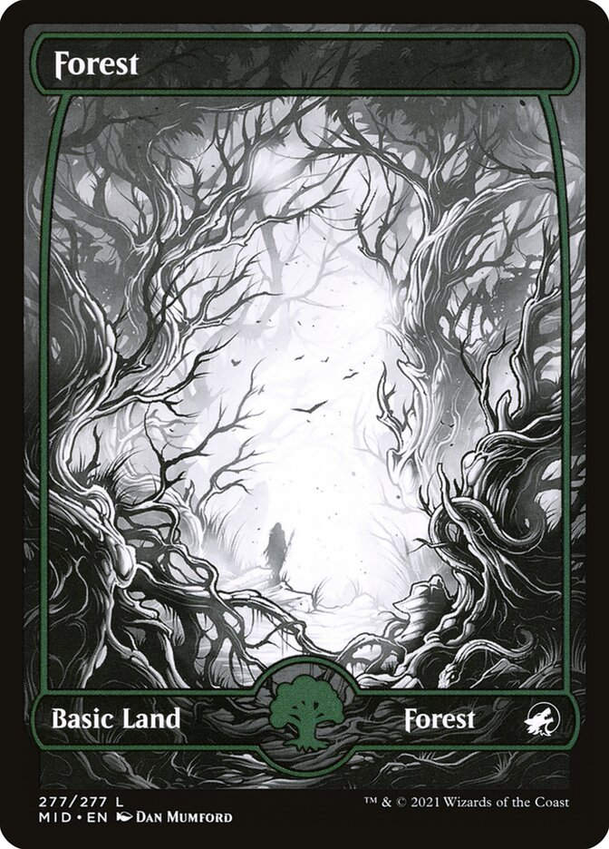 Forest (MID) (277) / Showcase