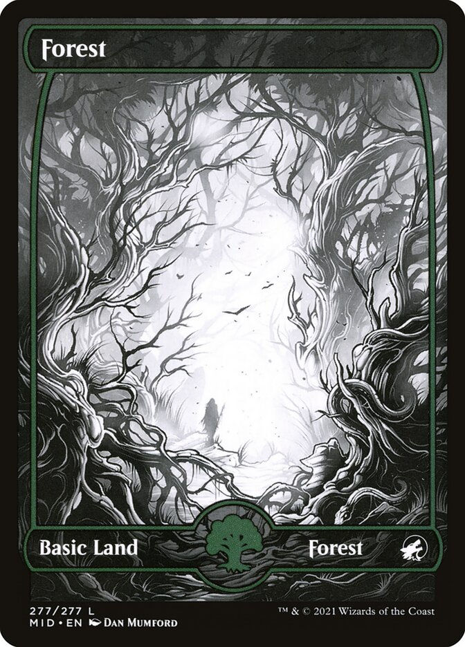 Forest (MID) (277) / Showcase
