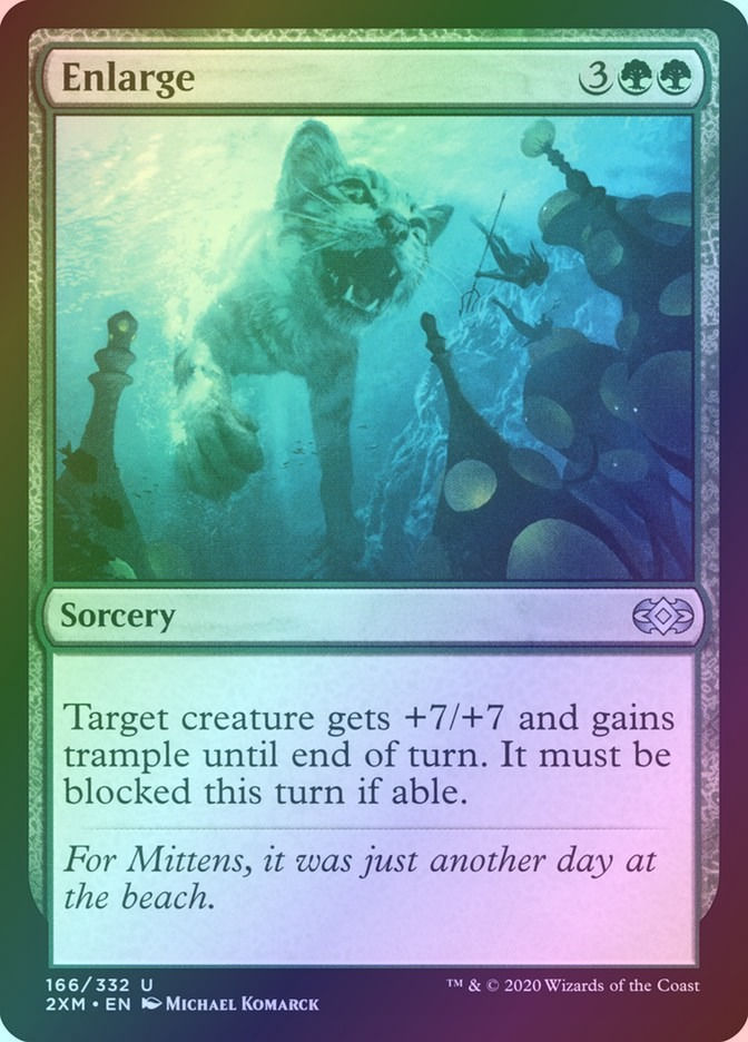 Enlarge (2XM) (166) / Foil