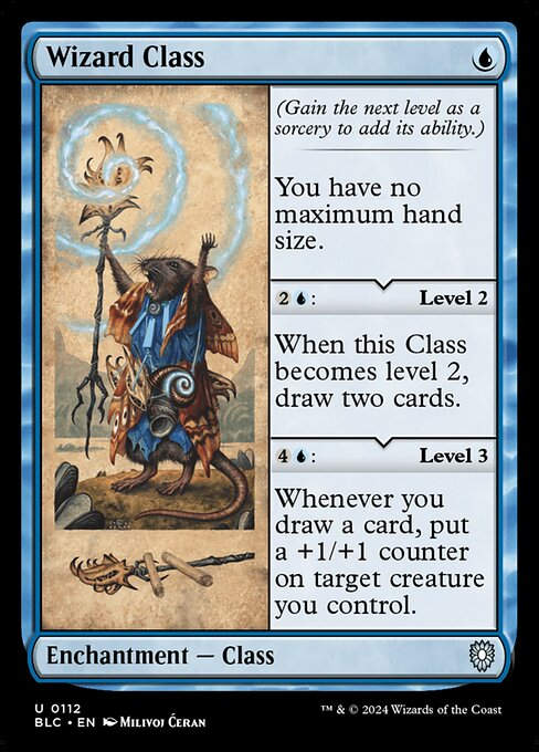 Wizard Class (blc) (112)