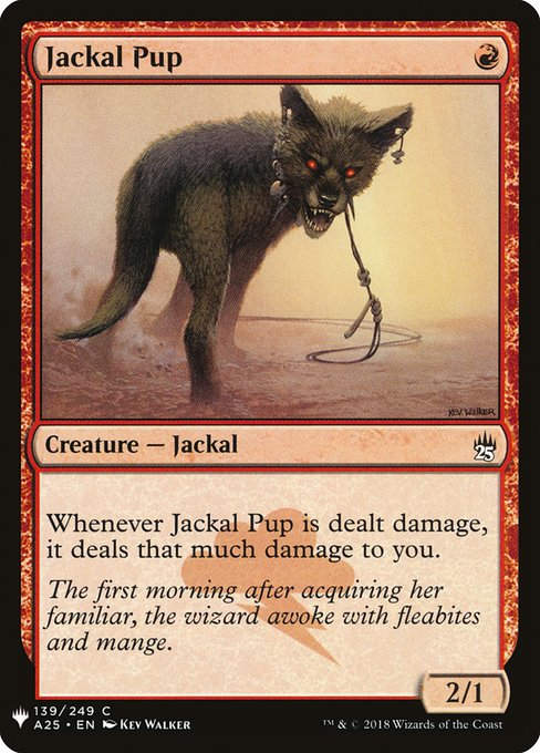 Jackal Pup (PLST) (A25-139)