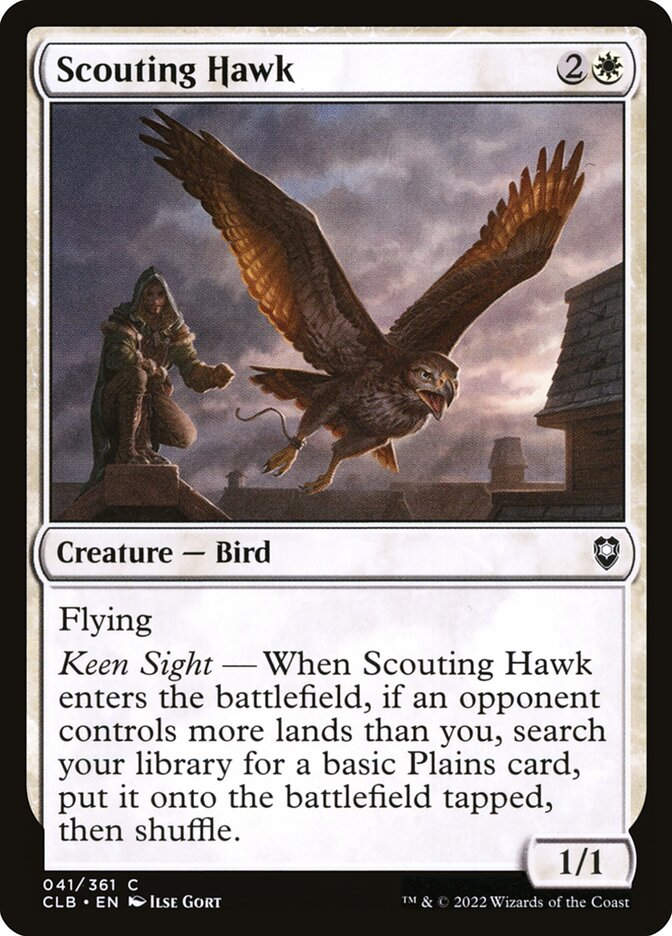 Scouting Hawk (CLB) (41)