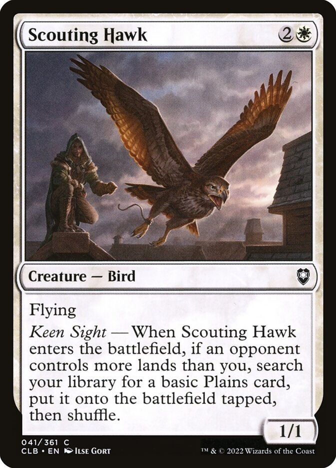 Scouting Hawk (CLB) (41)