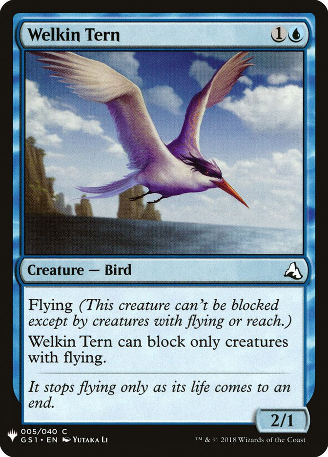 Welkin Tern (MYS)