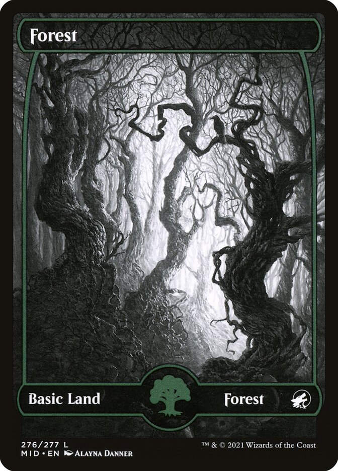 Forest (MID) (276) / Showcase