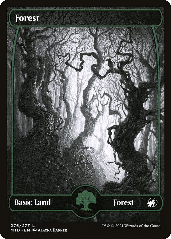 Forest (MID) (276) / Showcase