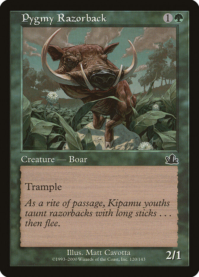 Pygmy Razorback (PCY) (120)