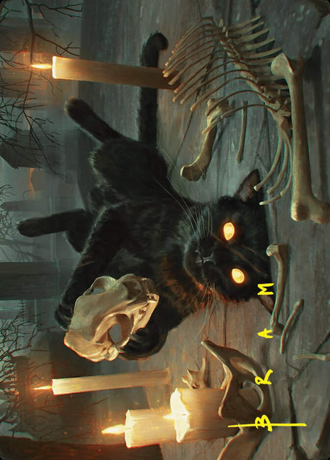 Nine-Lives Familiar (AFDN) (8) / Firma Dorada