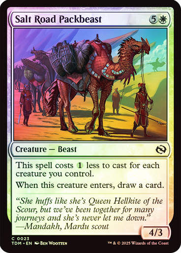 Salt Road Packbeast (TDM) (23) / Foil