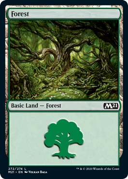 Basic Land: Forest (Expansión Aleatoria)