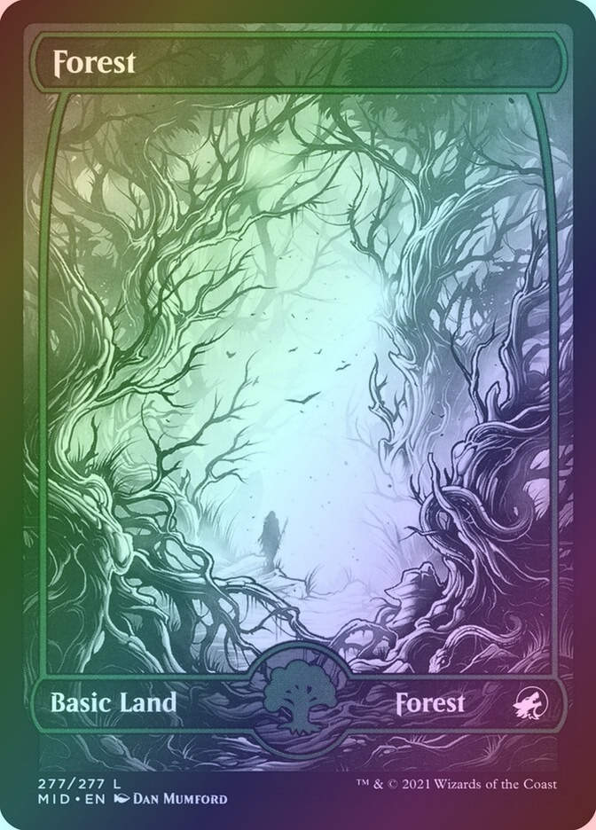 Forest (MID) (277) / Showcase / Foil