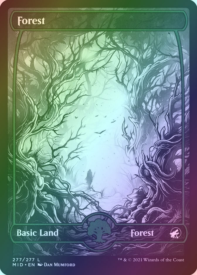 Forest (MID) (277) / Showcase / Foil
