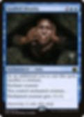 Grafted Identity (PMID) (57p)