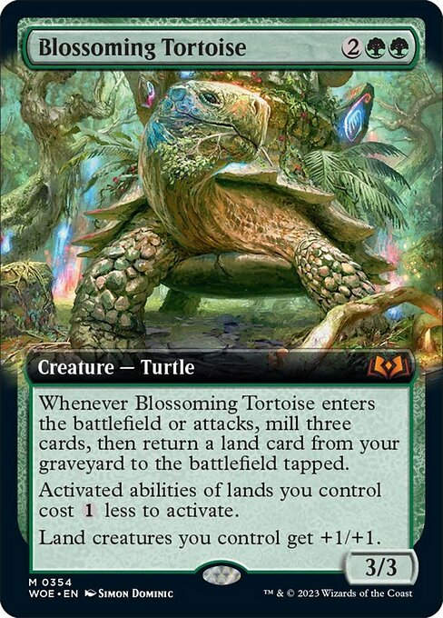 Blossoming Tortoise (woe) / Extended Art
