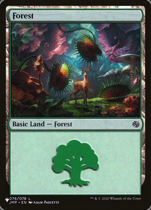 Forest (PLST) (JMP-76)