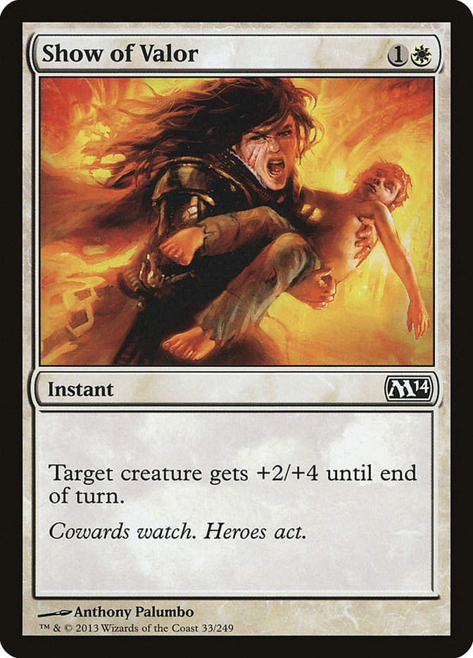 Show of Valor (M14) (33)
