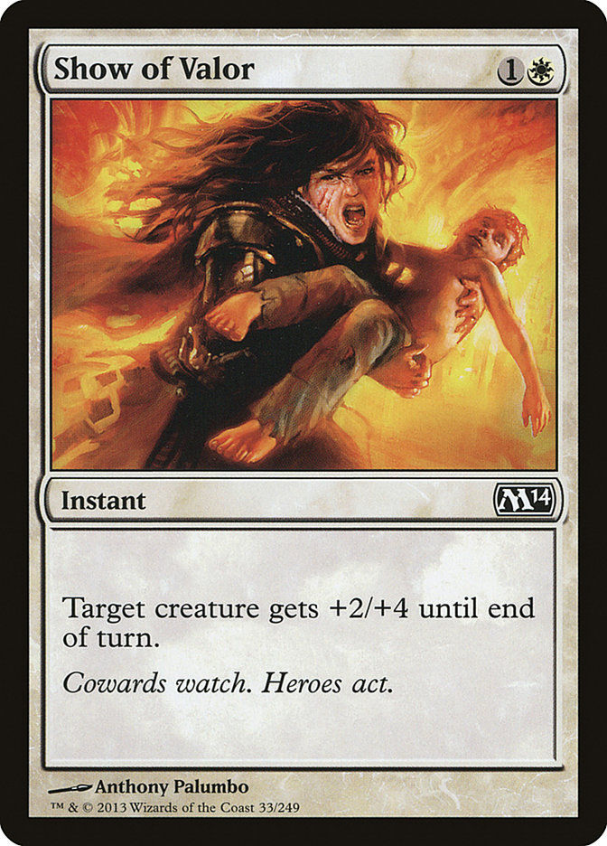 Show of Valor (M14) (33)