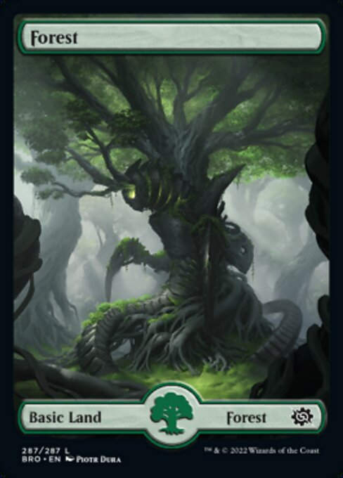 Forest (BRO_287)