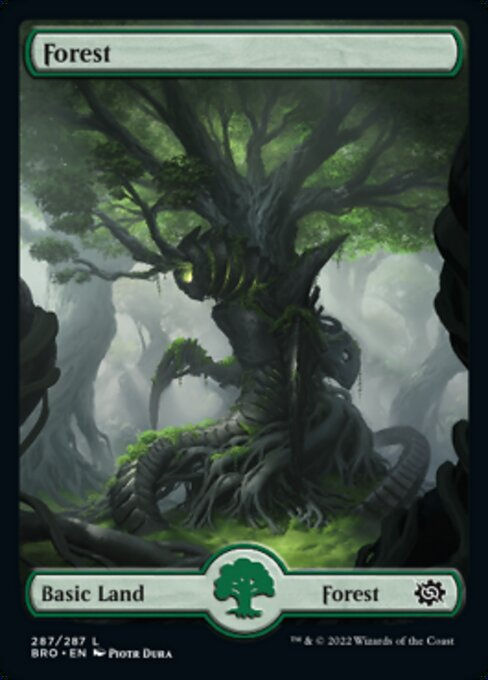 Forest (BRO_287)