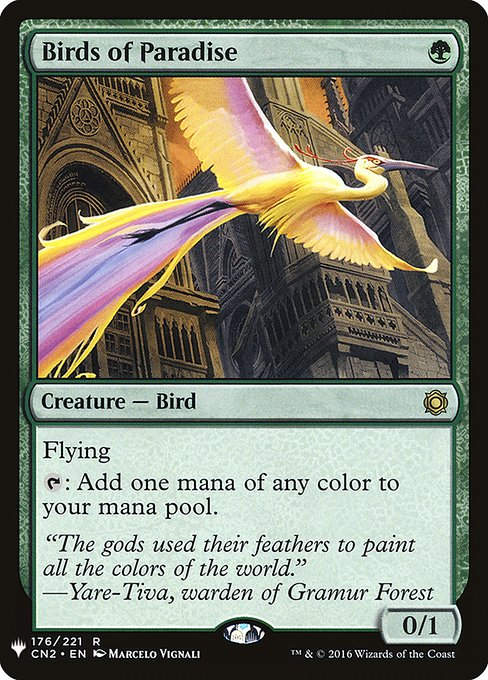 Birds of Paradise (PLST) (CN2-176)
