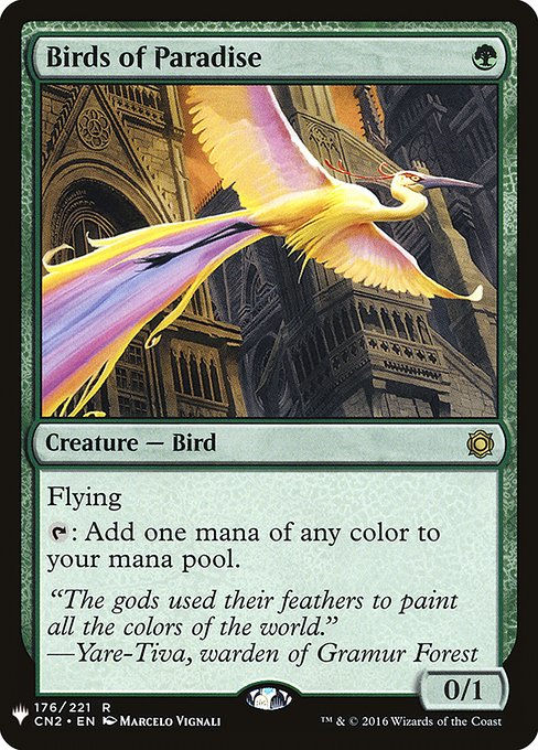 Birds of Paradise (PLST) (CN2-176)