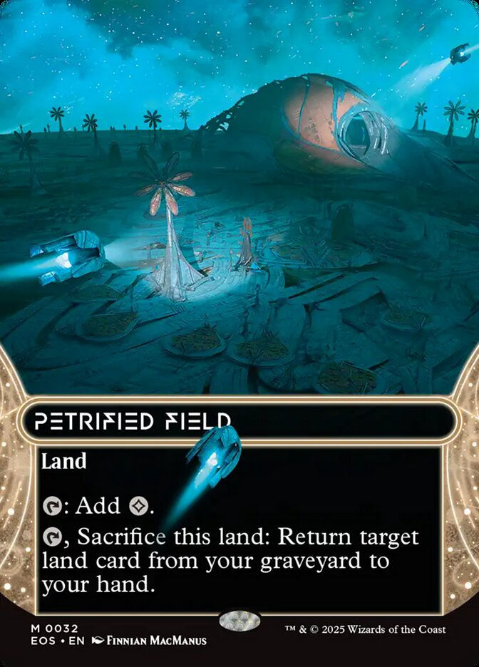 Petrified Field (EOS) (32) / Borderless