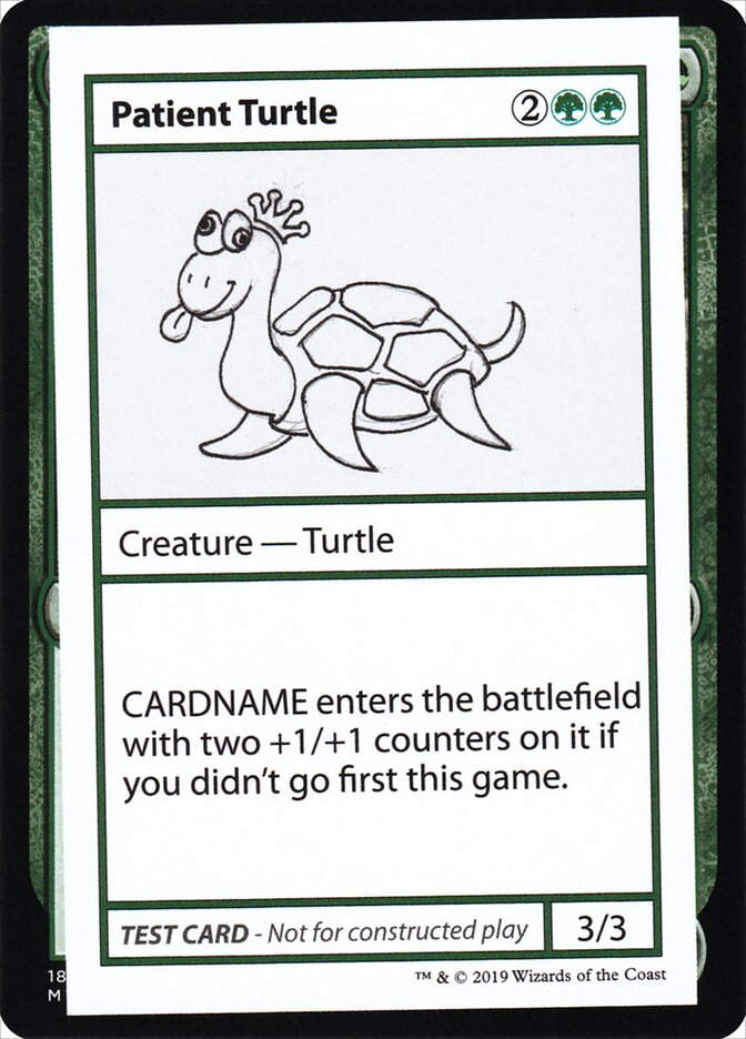 Patient Turtle (CMB2) (82)
