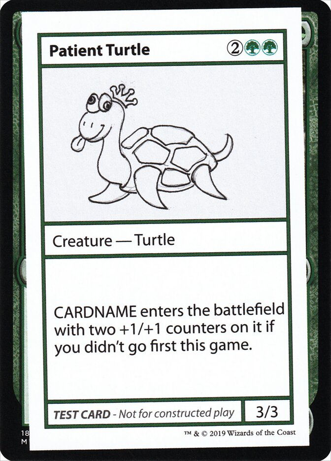 Patient Turtle (CMB2) (82)