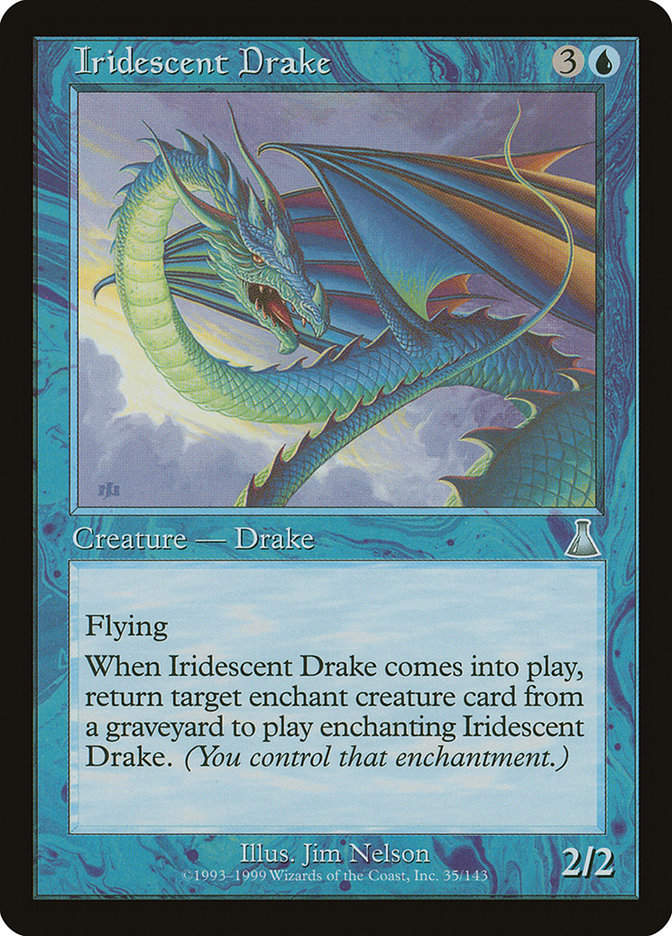 Iridescent Drake (UDS) (35)