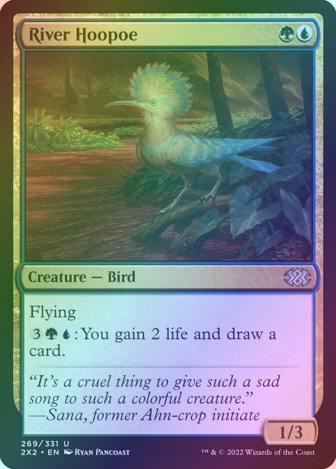 River Hoopoe (2X2) (269) / Foil