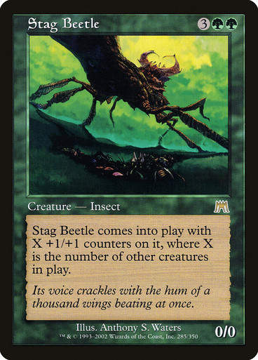 Stag Beetle (ONS)