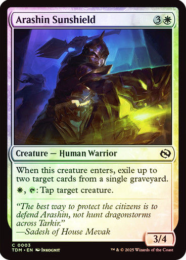 Arashin Sunshield (TDM) (3) / Foil