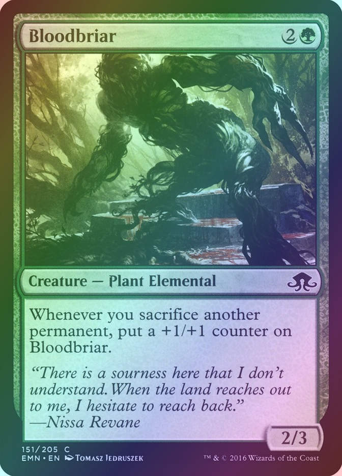 Bloodbriar (EMN) (151) / Foil