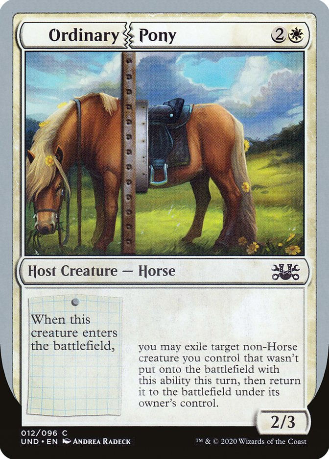 Ordinary Pony (UND) (12)