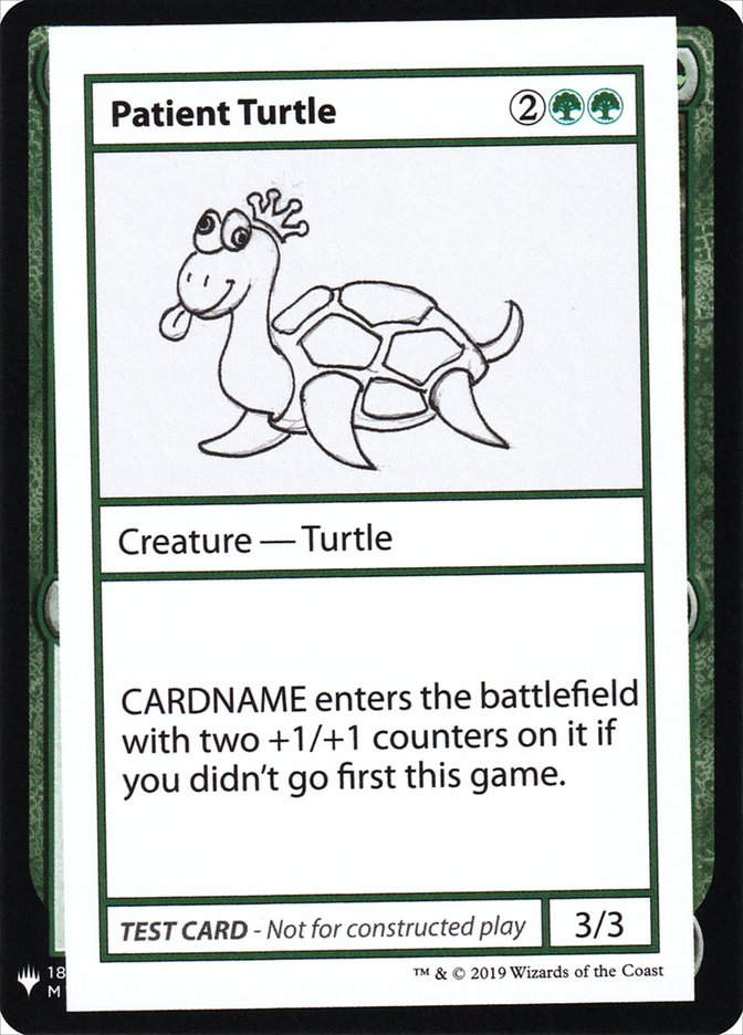 Patient Turtle (CMB1) (82)