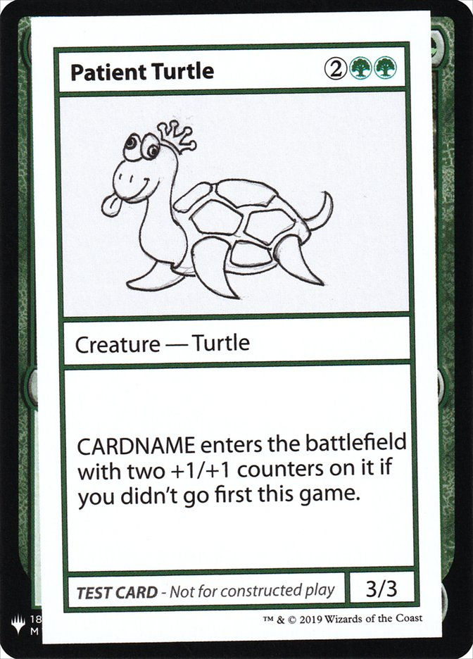 Patient Turtle (CMB1) (82)