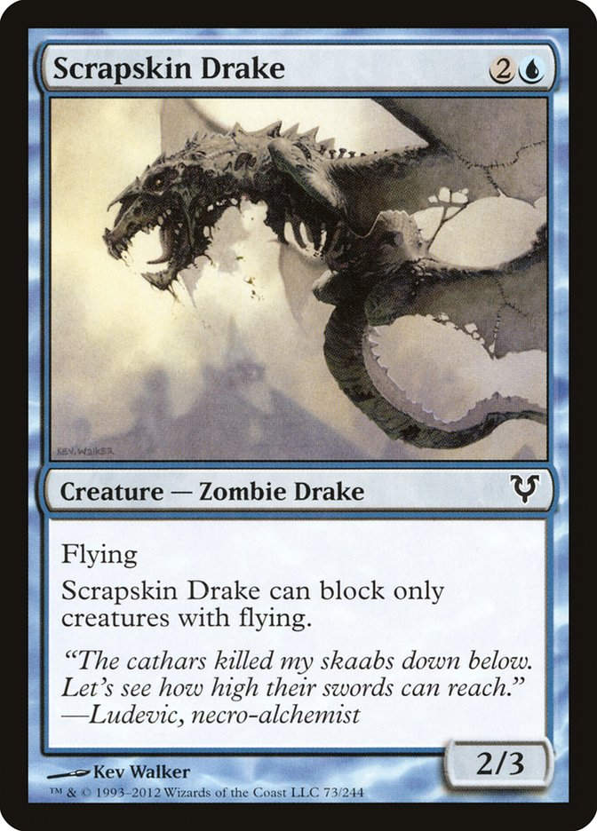 Scrapskin Drake (AVR) (73)