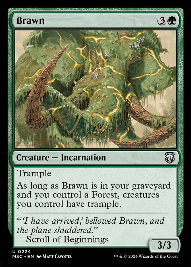 Brawn (m3c) (224)