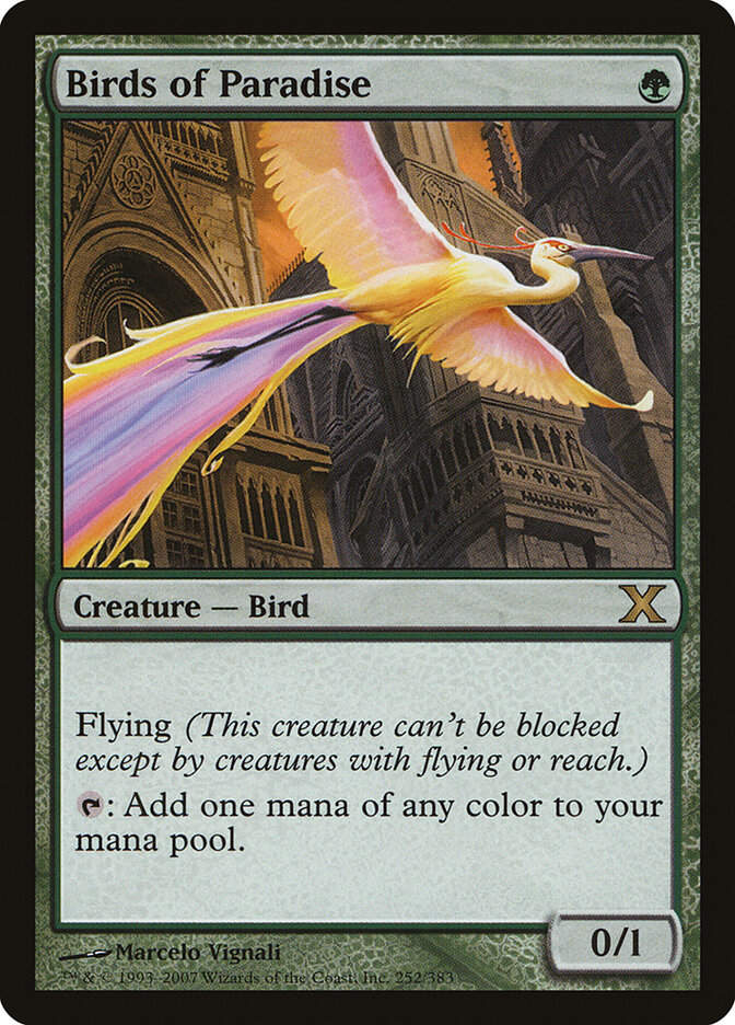 Birds of Paradise (10E) (252)