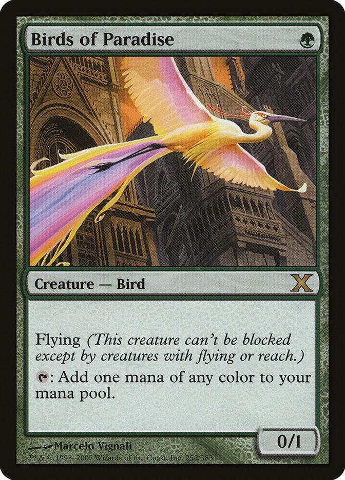Birds of Paradise (10E) (252)