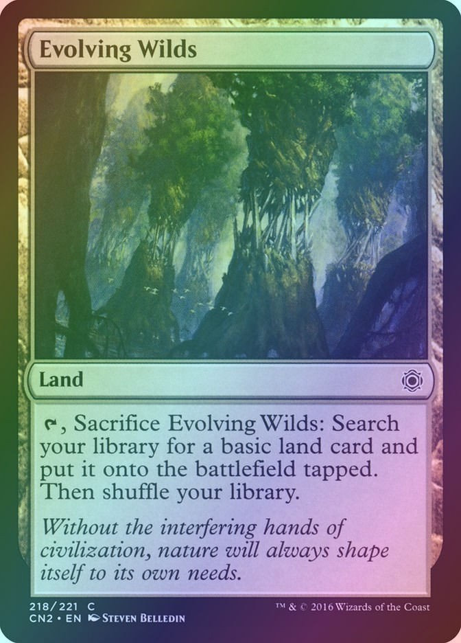 Evolving Wilds (CN2) (218) / Foil