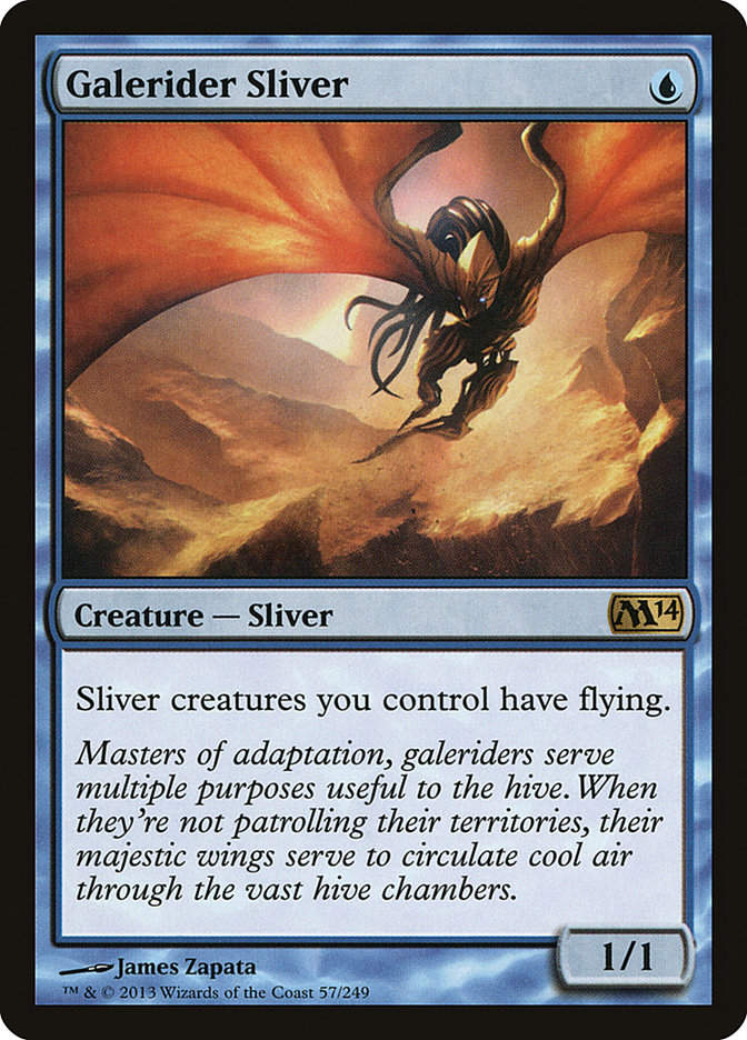 Galerider Sliver (M14) (57)